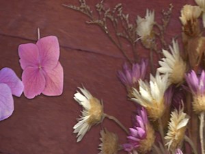 16K views · 259 reactions | In honor of Mrs Delores Rhoads & Randy | Rhoadies | Facebook