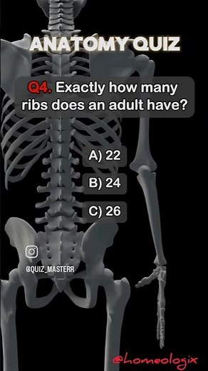 “How Many Ribs Do Adults Have?”🥸