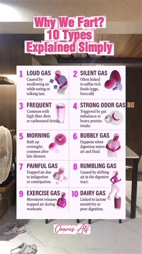 26K views · 57 reactions | ✨ Why we fart? 10 Types Explained Simply -Normalizing this everyone farts learning about our bodies is self- care. Which one surprised you the most? #WellnessTips #DidYouKnow #healthtips #EverydayHealth #AwarenessPost #viralvideoシ | Onares Alf | Facebook