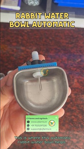 Automatic Rabbit Water Bowl 💧 | No-Spill Bunny Water Feeder | Easy & Hygienic Solution
