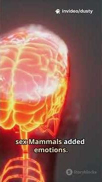 This Book Will Rewire Your Brain