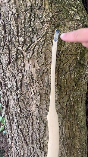 The Holmegaard bows are a series of self bows found in the bogs of Northern Europe dating from the Mesolithic period. They are named after the Holmegaard area of Denmark in which the first and oldest specimens were found, and are the oldest bows discovered anywhere in the world. | Bowyer Bushcraft