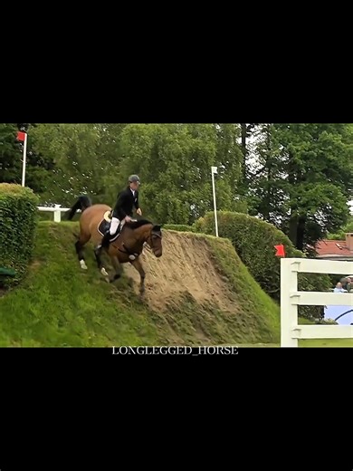 Understanding Horse Riding Techniques and Humor