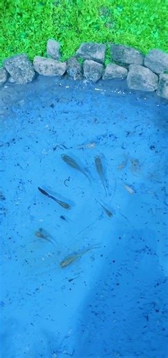 A model made by me with lots of help from my team... Land forms and bodies of water #sci #science #scienceexperiments #landforms #waterbodies
