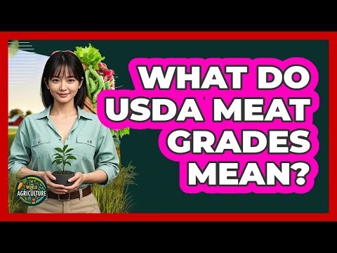 What Do USDA Meat Grades Mean?