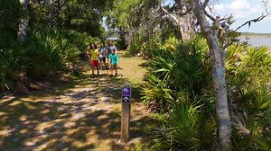 Trails, Tides, and Laid Back Vibes