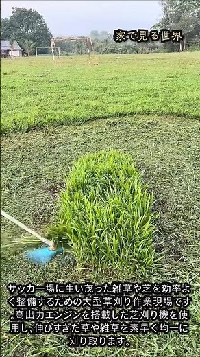 高性能草刈り機で雑草を一気に刈り取る！#worker #process #trimmer #weed #field