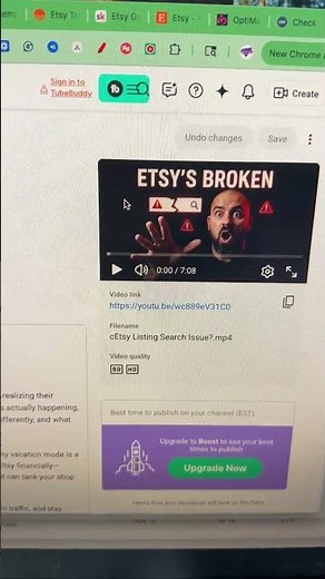 Etsy Visibility Glitch? 😳