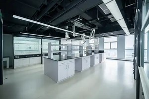 [Hot Item] Scientific Chemical Laboratory Furniture ESD Table Height Adjustable Lab Casework Bench