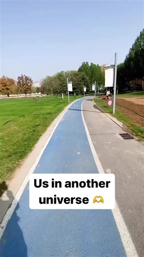 Adorable Kitten Climbing Up Legs Compilation