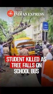 Mumbai rains: 11-year-old dies after tree falls on school bus in Chembur
