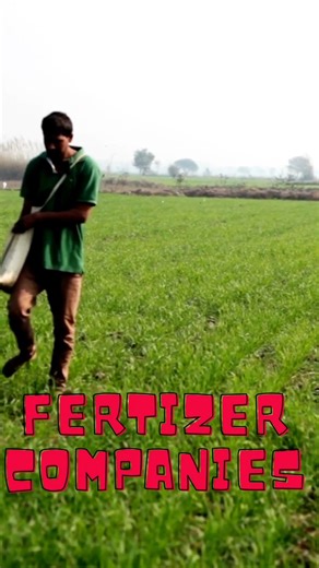 64K views · 500 reactions | Is your stock market portfolio Cast Away certified #urdu #shorts #fertilizer #psx #investkaar | InvestKaar - Pakistan Stocks made easy | Facebook