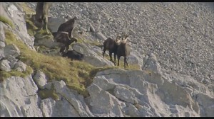 39K views · 440 reactions | Laser Works Studio on Reels | Facebook