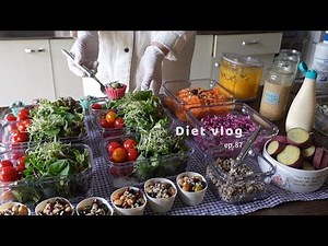 A Week of Fresh Salad Bento｜Sugar-Free Recipes｜Healthy Meals