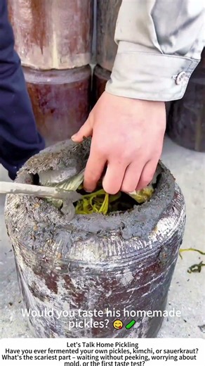 Opening a Traditional Pickling Crock – Time to Taste 🥬