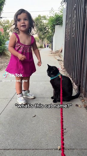 My Cat Made a New Friend – Heartwarming Moments