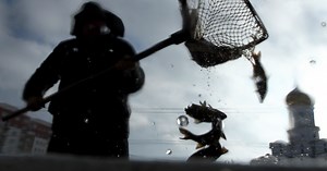 Fighting Fish Fraud: Scientists Make Device to Sniff Out Fake Groupers