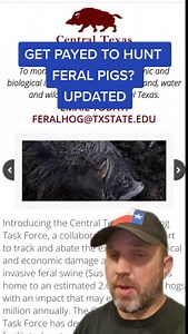 Get Paid to Hunt Feral Pigs in Texas