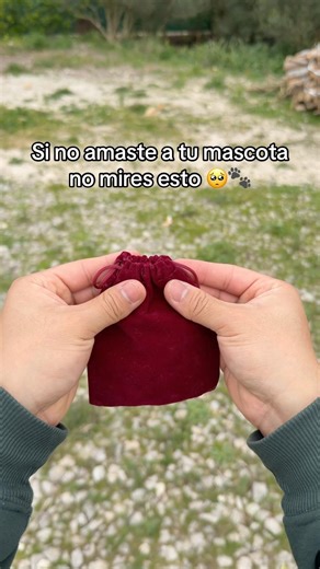 Recuerdo personalizado de tu mascota 🎁 #recuerdomascota #regaloscreativos #perros #gatos #colgante