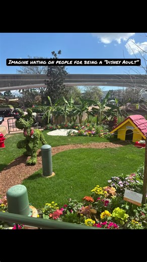 Embracing Disney Adults: Kindness Over Criticism