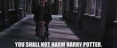 You shall not harm Harry Potter.