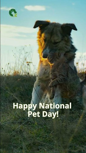 Happy National Pet Day!