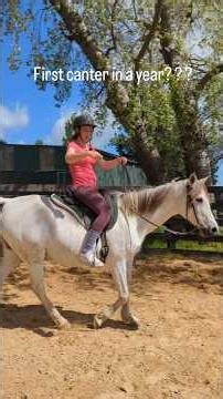 First time cantering in a year! #horsemanship #horseriding #ilovehorses #horses #equestrian
