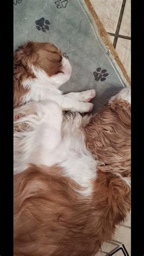 Mom and baby knocked out together — that’s real life ❣️