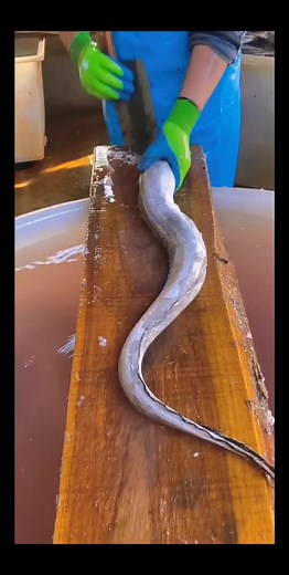 How to Fillet a Fish Like a Pro