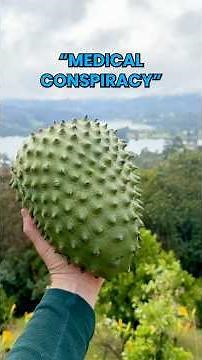 What does Soursop taste like and why is everyone talking about it? #growinnhomes