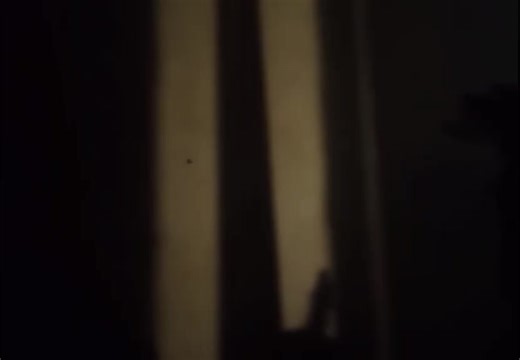 I think this is the best video in 2026 :33 #otherpaw #quadrobics #astetic #vintage #sillycat