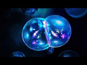 私たちの宇宙には時間が逆行する双子の宇宙が存在する！