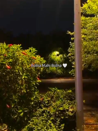 A Special Arijit Singh Love Song