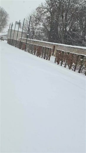 Vidéos de ste (@ste7157) avec Mon Amour de l’ombre, c’est toi - ZAREL