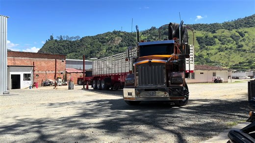 #kw t800 candela