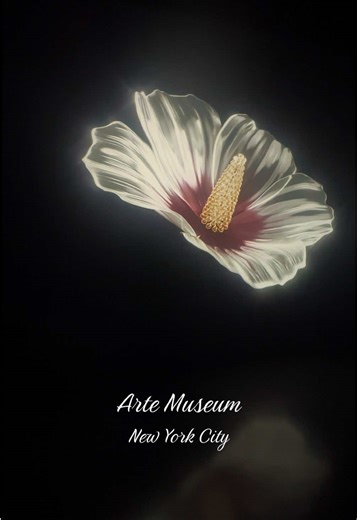 Exploring Night At The Museum in NYC