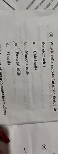 (ii) Which cells secrete Intrinsic factor in the stomach ?a. C... | Filo