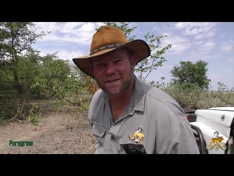 500 NITRO EXPRESS BUFFALO HUNT