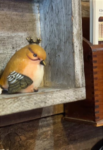 #antiques #Thrit #vintage #marriedlife