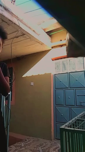 shazi (@shazi3830)’s videos with Original Sound - Unknown