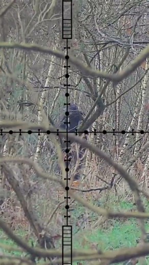airsoft kill cam highlight 12