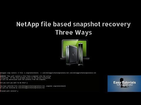 Netapp FIle based Snapshot Recovery from Three ways