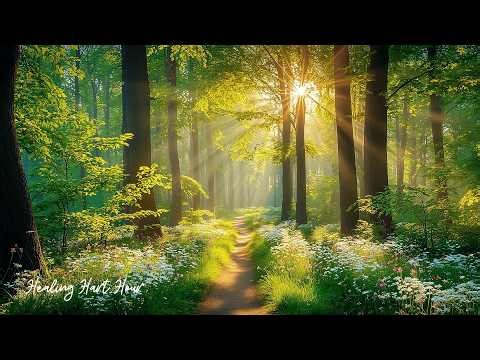 Calming Spring Music 🌿 Healing Piano for Cozy Relaxation, Sleep and Meditation