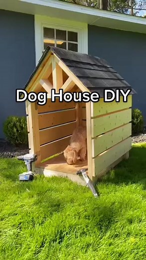 DIY Dog House Plans for Your Pup | Planko's Woodworking