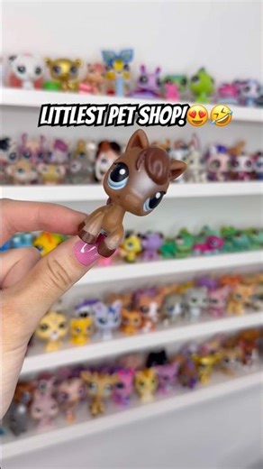 Littlest Pet Shop dance!😍🤣 #littlestpetshop #dance #toys #funny #cute #LPS