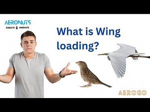 What is Wing loading? || Wing loading examples