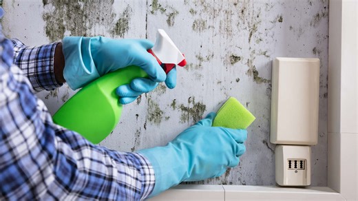 Schimmelalarm? Diese 9 Tricks retten Ihr Zuhause