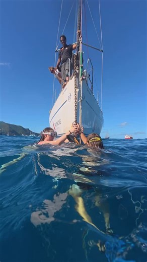 We finished 2025 dancing the night away on Bequia and after a casual morning off sailed to Mystique to swim with the turtles 🐢 & explore the reef. #sailing #sailingadventure #sailinglife #gapyear | Sail Racing Academy