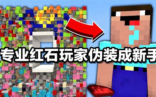 [中配]专业红石玩家伪装成新手 - Purplers