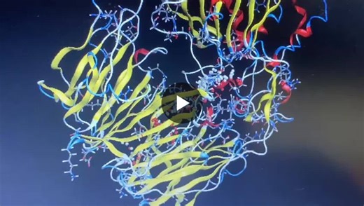 #bioinformatics #drugdiscovery #moe #moleculardocking #stempassion #computationalchemistry #structuralbiology #womeninscience | Anam Saleem